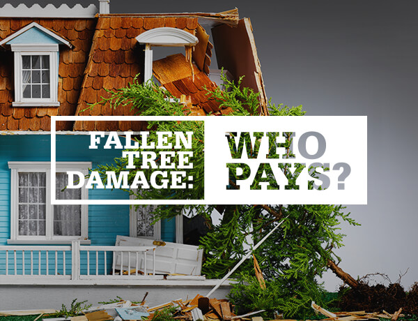 Fallen Tree Damage—Who Pays?